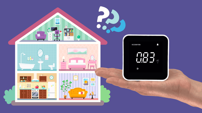 Can I Move My Ecosense Radon Monitor to Another Room? - Yes! Here’s How and Why You Should