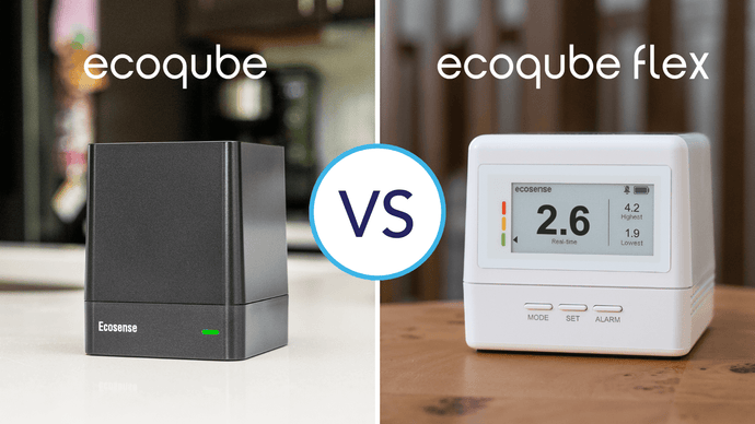 EcoQube vs EcoQube Flex: Which Ecosense Radon Monitor Is Right for Your Home?