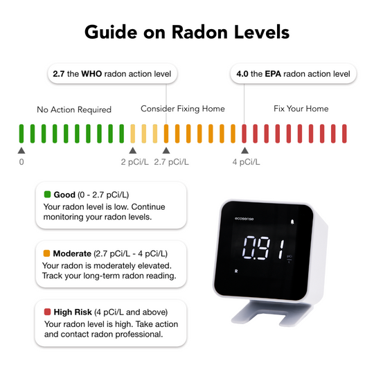 Radon Scout Professional (+CO2 Sensor) - Radon Detector