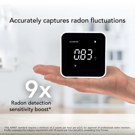 Ecosense  Fast and Accurate Radon Detector For Home